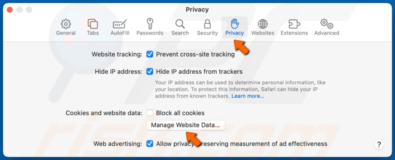 Seleccione la pestaña Privacidad y haga clic en Gestionar datos del sitio web