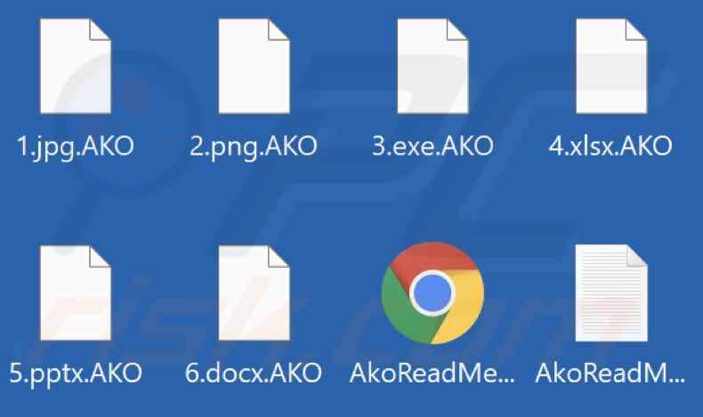 Archivos cifrados por el ransomware AKO (extensión .AKO)