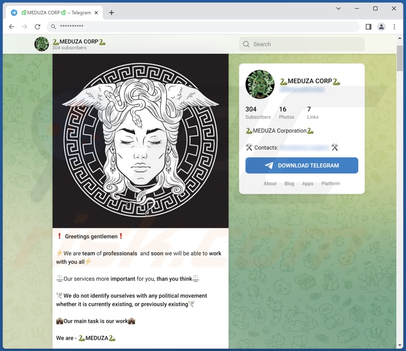 Meduza Stealer promocionado a través de Telegram