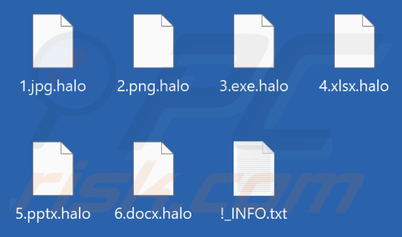 Archivos cifrados por el ransomware Halo (extensión .halo)