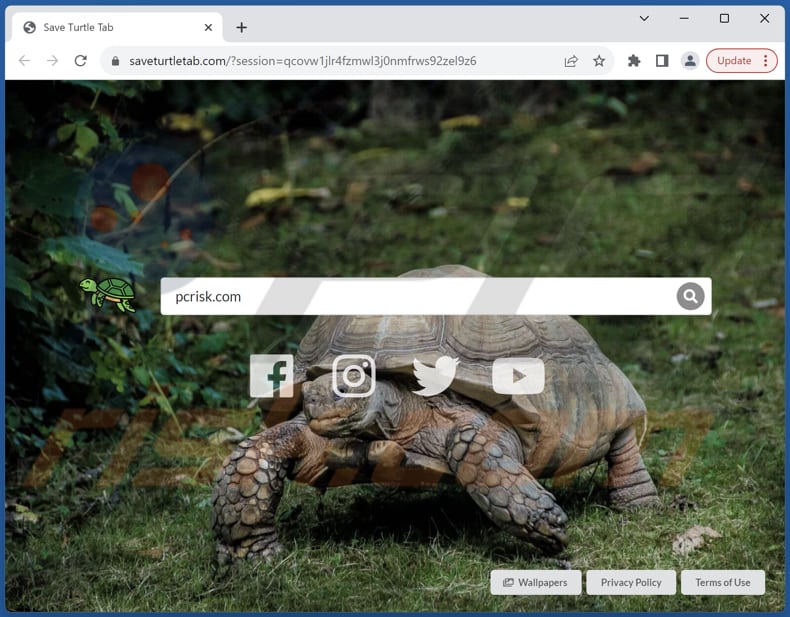 saveturtletab.com secuestrador del navegador