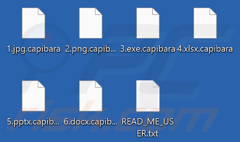 Archivos cifrados por el ransomware Capibara (extensión .capibara)