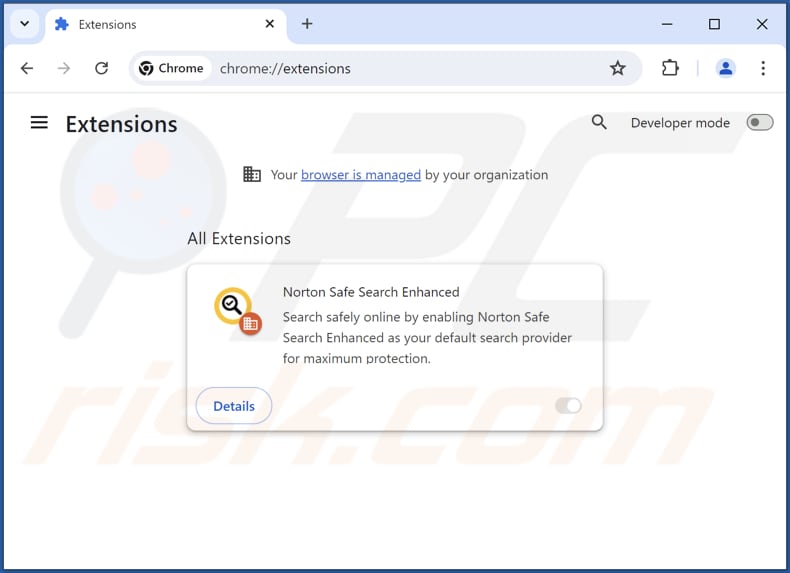 Eliminación de la extensión falsa Norton Safe Search Enhanced de Google Chrome paso a paso 2