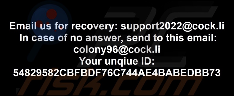 Colony ransomware papel pintado