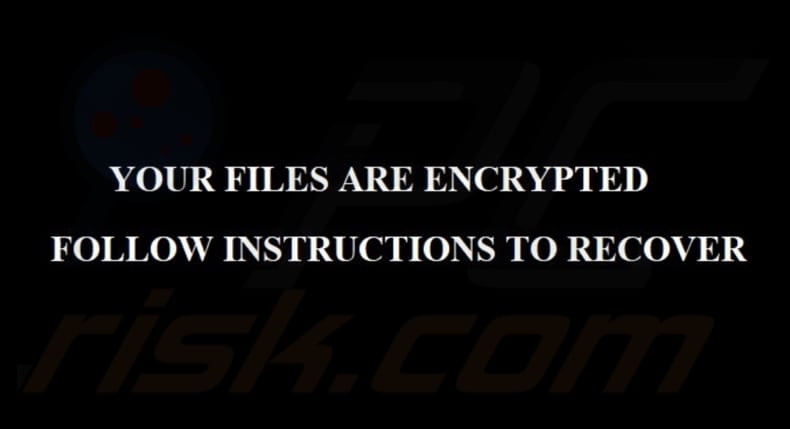 PlayBoy LOCKER ransomware papel pintado