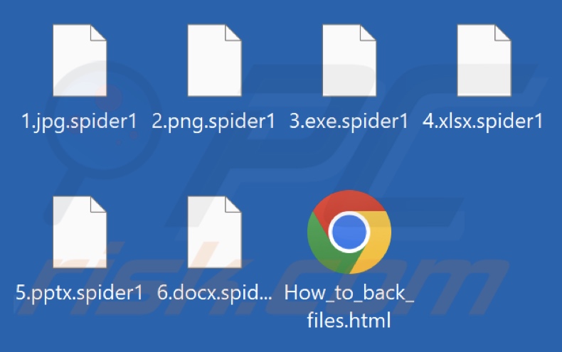 Archivos cifrados por el ransomware Spider (extensión .spider1)