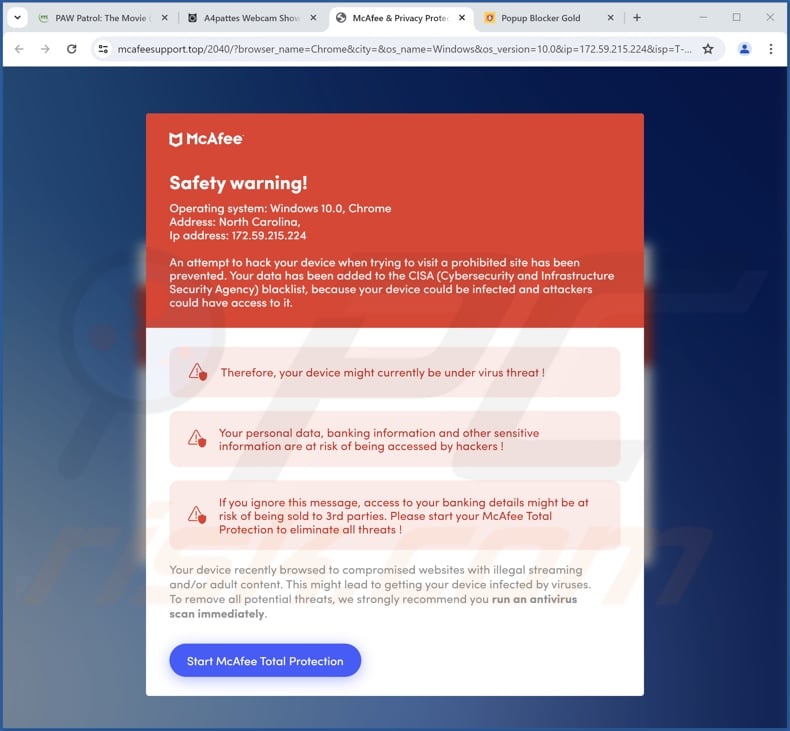 Safety Warning estafa (McAfee variante 2)