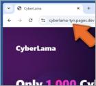 CyberLama Mint Estafa