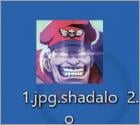 Shadaloo Ransomware