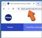 Fake BitPay Wallet Estafa