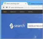 www-searching.com se carga automáticamente