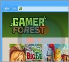 Software publicitario GamerForest