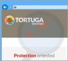 Anuncios de Tortuga