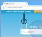 Redireccionamiento a HoistSearch.com