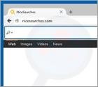 Redireccionamiento a Nicesearches.com