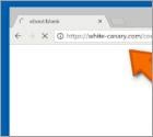 Redireccionamiento con pop-up a White-canary.com