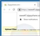 Virus Zippyshare