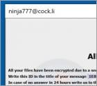 Ransomware Ninja