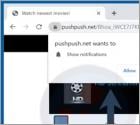 Anuncios Pushpush.net