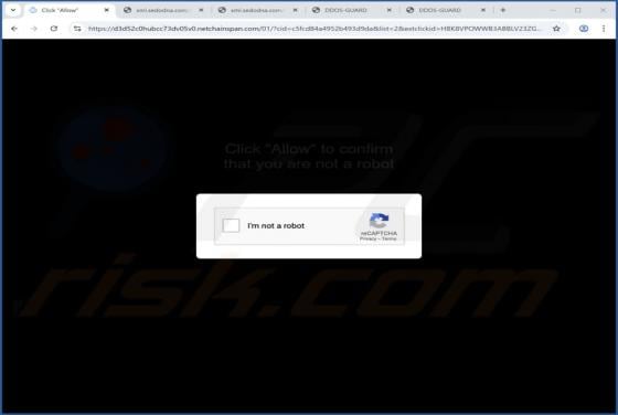 Netchainspan.com Anuncios