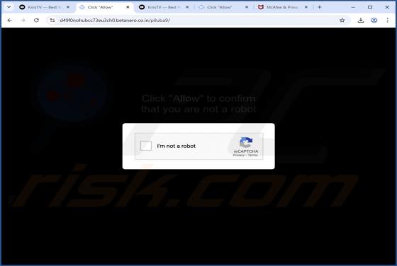 Betanero.co.in Anuncios