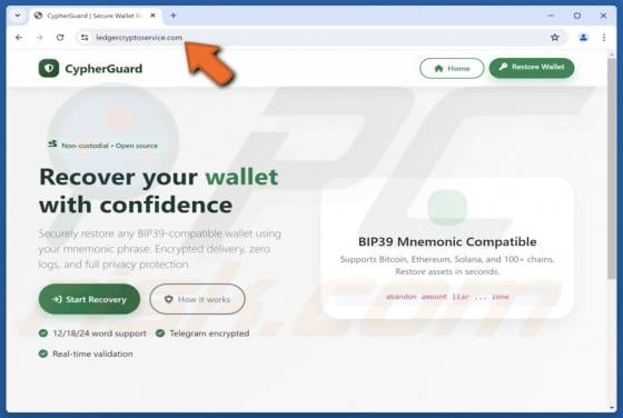 Estafa de la falsa herramienta de recuperación CypherGuard Cryptowallet