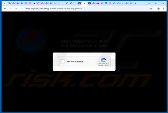 Anuncios human-access.co.in
