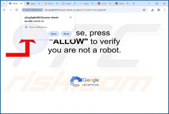 Anuncios de License-check-av.site
