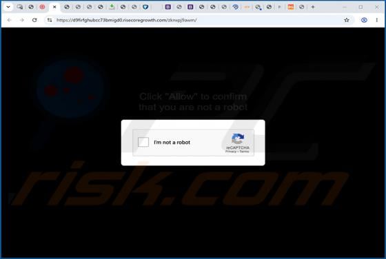 Anuncios de Risecoregrowth.com