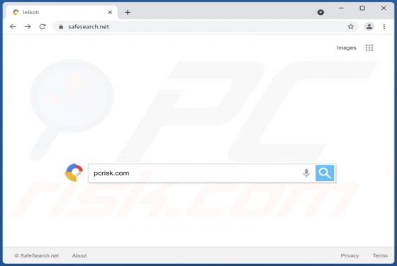 SafeSearch.net se abre automáticamente