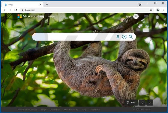 Redireccionamiento a Bing.com